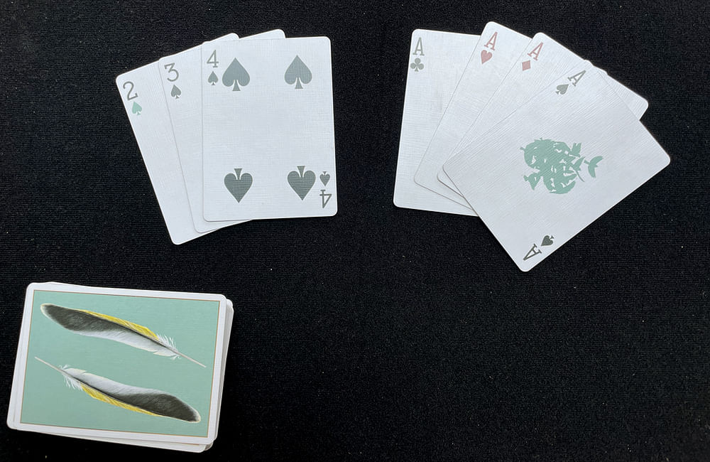Winning hand in Rummy